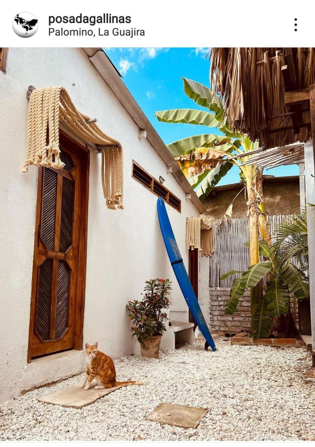 Posada Gallinas Palomino Exterior photo