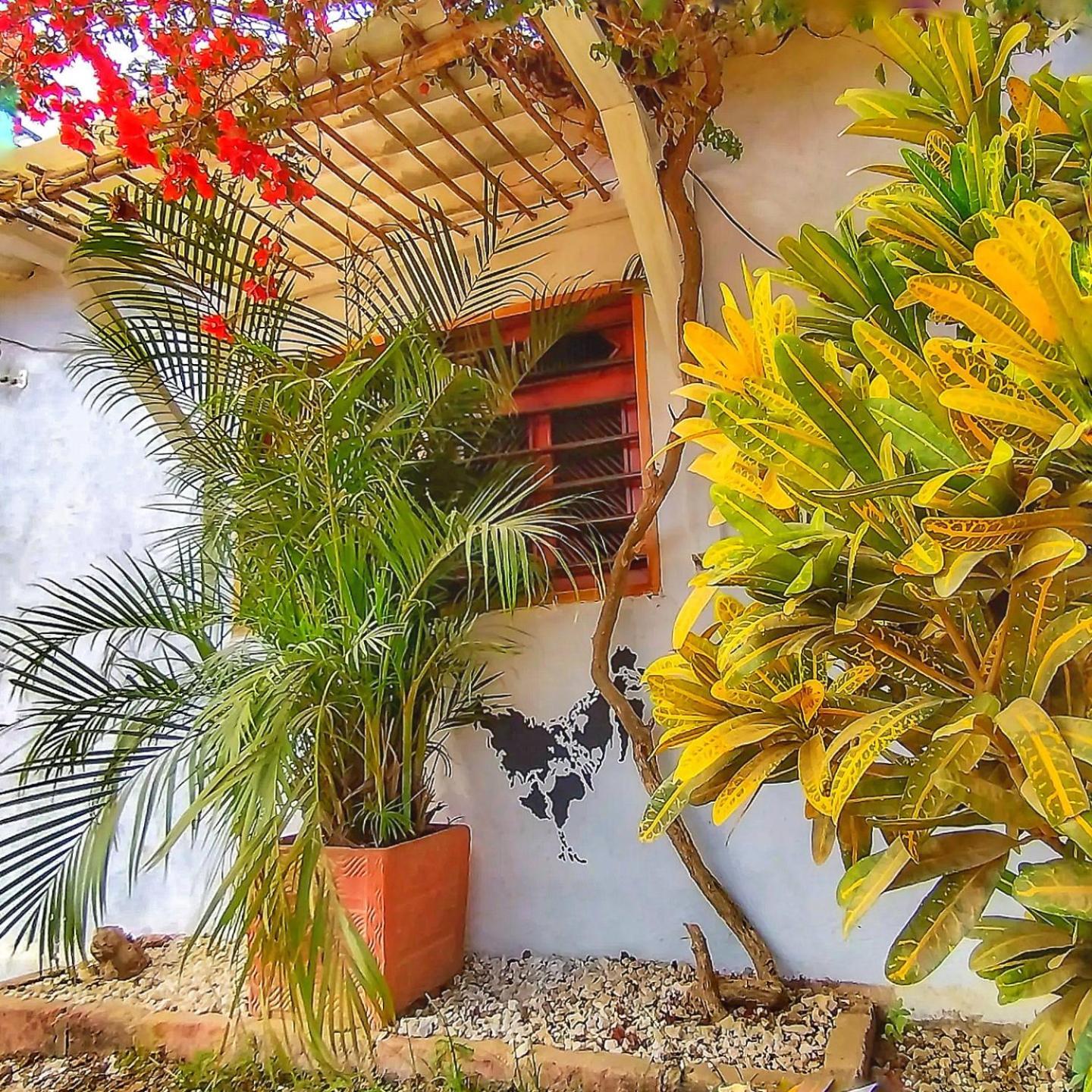 Posada Gallinas Palomino Exterior photo