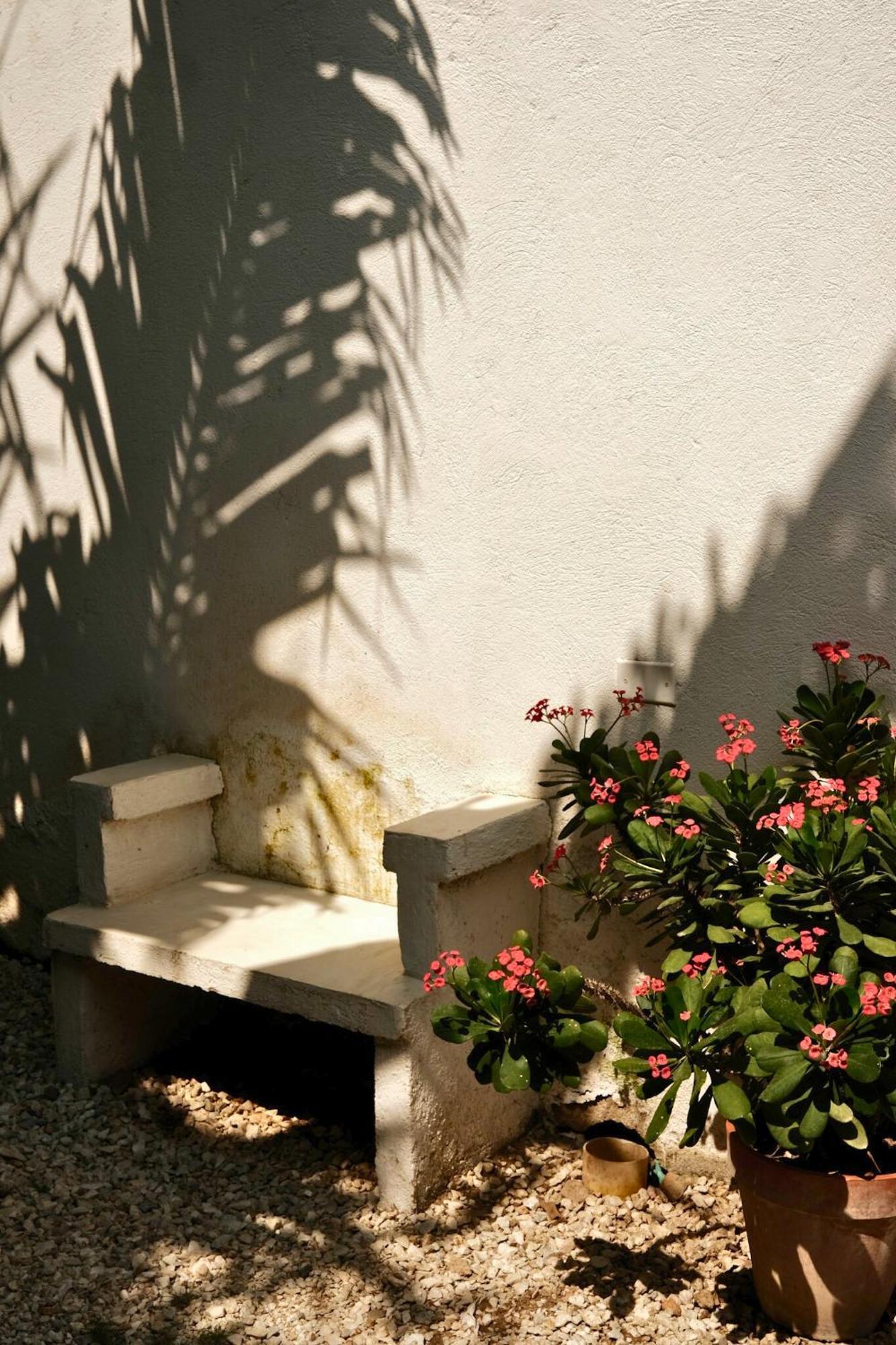 Posada Gallinas Palomino Exterior photo